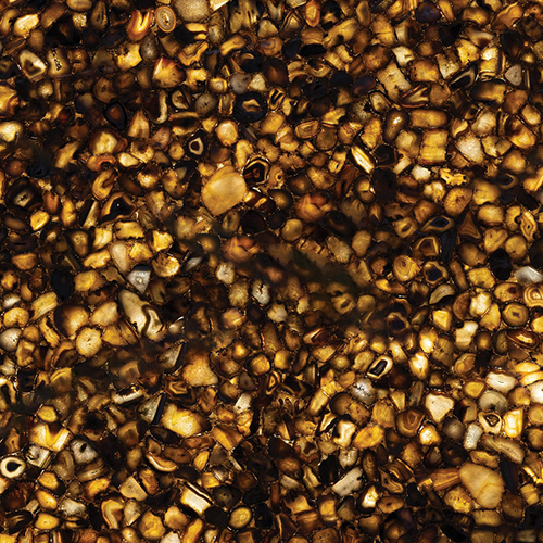 Golden Agate Backlit